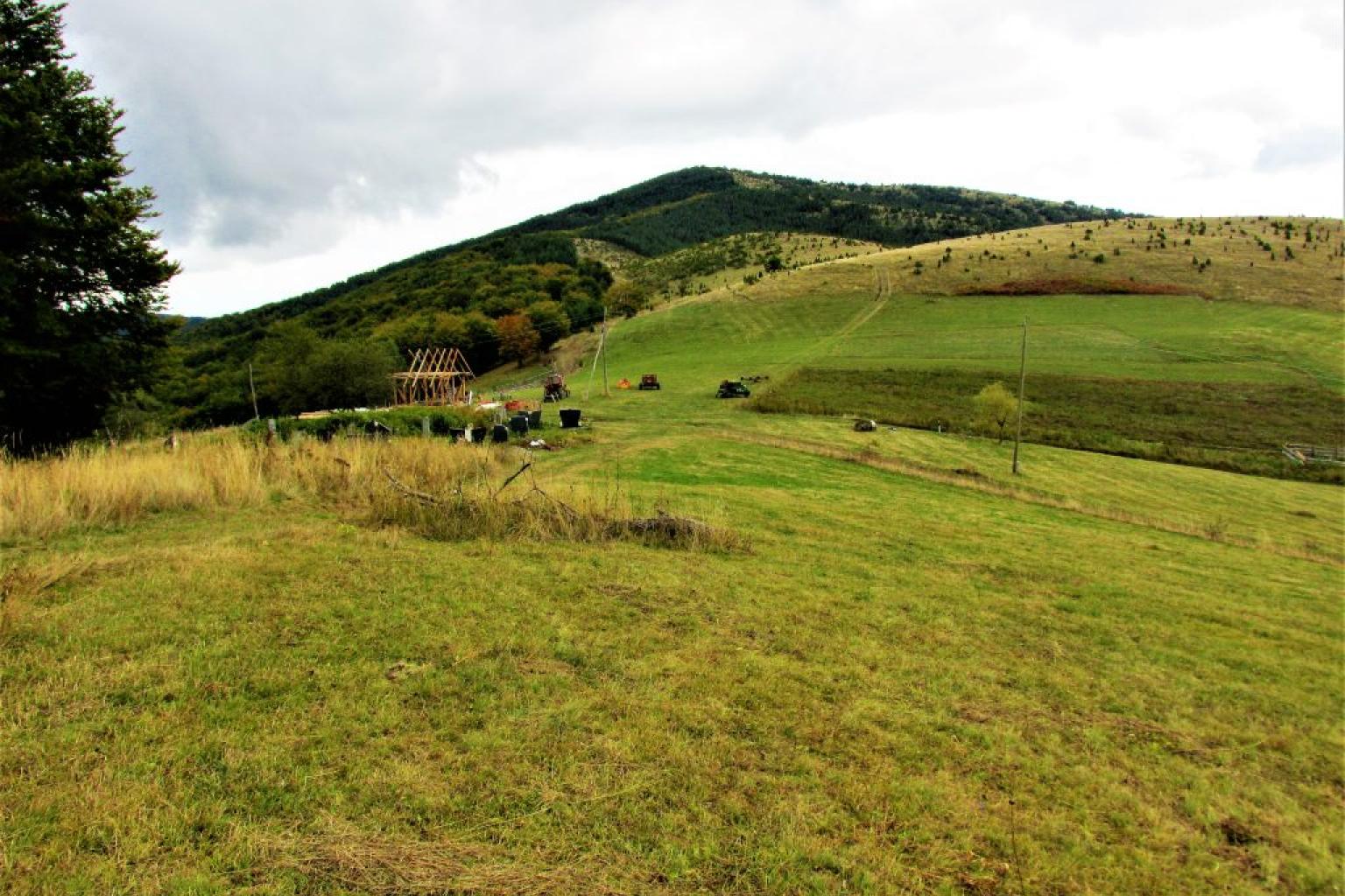 Goč